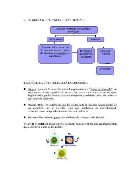 Unidad 4 La Revolucion Genetica PDF