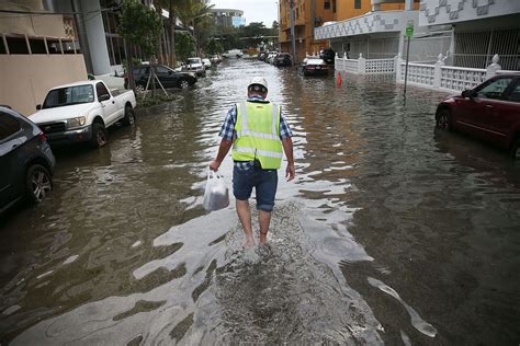 Finding the Best water Restoring Solutions in Miami | Creative Home Idea