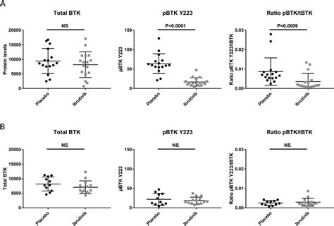 BTK Protein Levels After In Vivo Placebo And Ibrutinib Treatment A F