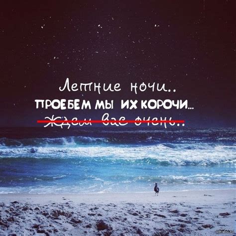 Летние ночи.. | Пикабу