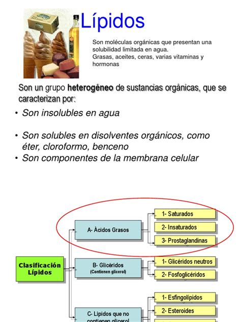 Pdf Generalidades L Pidos Dokumen Tips