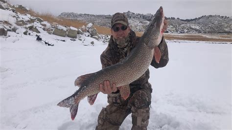 Under Water Predators Hunting Northern Pike Youtube