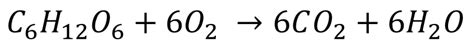 Aerobic Respiration Key Stage Wiki