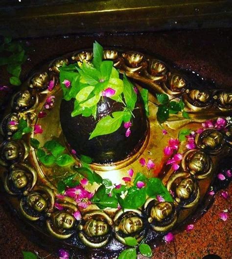 🙏om Namah Shivaya🙏 On Instagram “🙏🙏🌹🌹🌹🙇‍♂️🙇‍♂️🙇‍♂️om Namah Shivaya🙇‍♂️