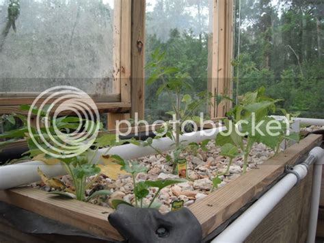 My Aquaponic Greenhouse Build Pic Heavy Page Survivalist Forum