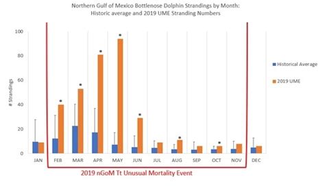 2022 Dolphin Population Graph