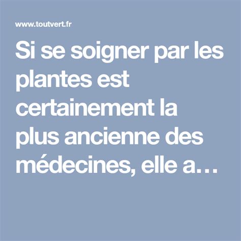 Plantes M Dicinales Bien Les Conna Tre Pour Bien Les Utiliser