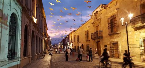 Best places to stay in Oaxaca City, Mexico | The Hotel Guru