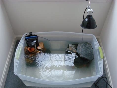 Turtle Tub! | AquariaCentral.com