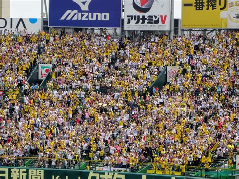 2023プロ野球観客動員数（交流戦前まで） ナショナル・スタジアム・ツアーズ