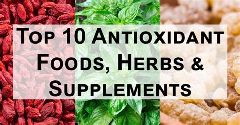 Top 10 Antioxidant Foods Herbs And Supplements To Add To Your Diet