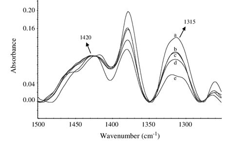 Ftir Spectra Of Chitin And Chitosans With The Dd A 27 5 Chitin