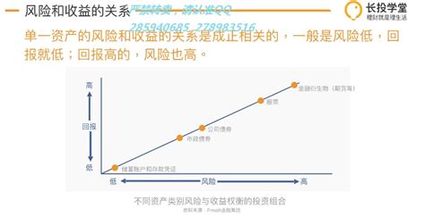 投资风险的分类 Csdn博客