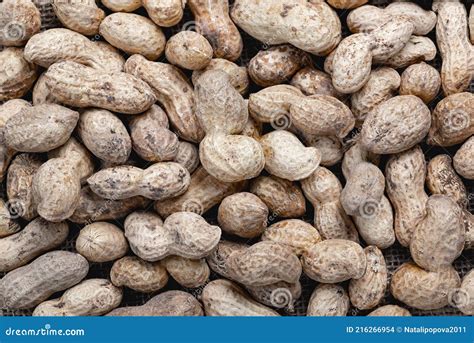 Organic Peanuts In Shell Heap Of Peanut Closeup Stock Photo Image