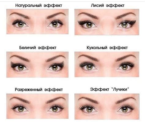 Ts Cc Sintiklia Big Set Of Eyelashes Few Collections Artofit