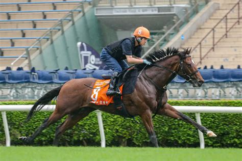 【香港チャンピオンズm】オオバンブルマイ 日本馬最速4f51秒6吉村師も興奮「かなり速かったよね」 スポニチ競馬web