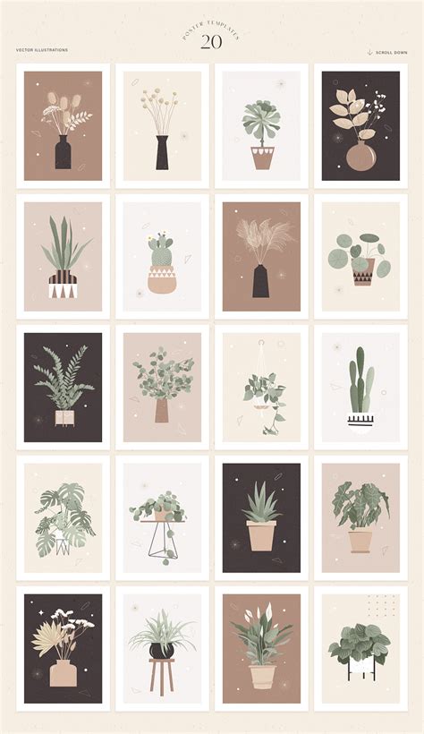 Plants | Illustrations, Wall Art by Agata Szota-Kaplan on Dribbble