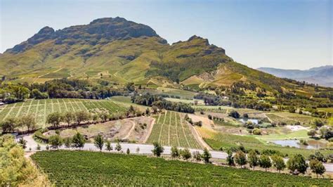 Kapstadt Wein Tour Paarl Stellenbosch Franschhoek Getyourguide