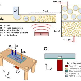 A Schematic Depiction Of The Operating Principle Governing