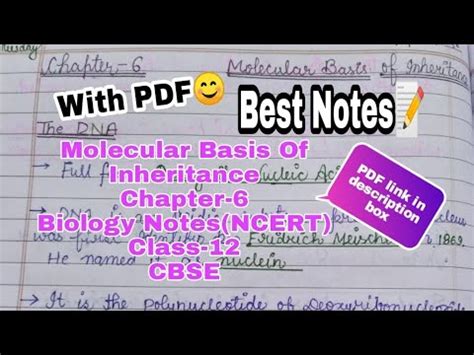 Biology Chapter 6 Molecular Basis Of Inheritance Class 12 Best