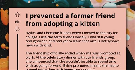 Whistleblower Blocks Kitten Adoption After Revealing Ex Friends