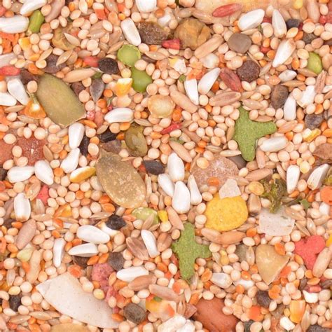 volkman featherglow small hookbill domestic bird food  feed pet