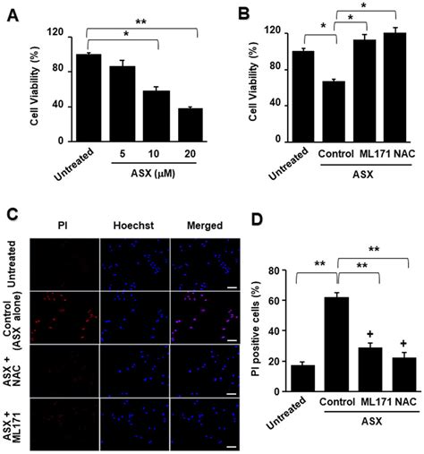 Cell Viability And PI Hoechst 33342 Double Staining Of AGS Cells