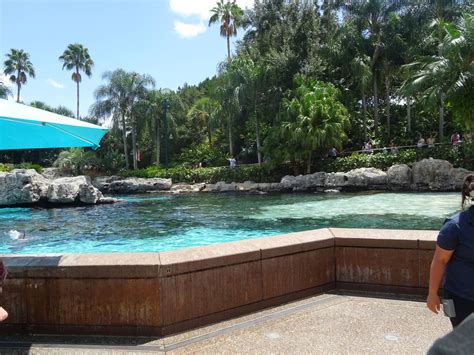 General View of Dolphin Cove at SeaWorld Orlando - ZooChat