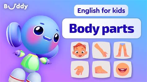 Parts Of The Body Kids Vocabulary Learning English For Kids Buddy