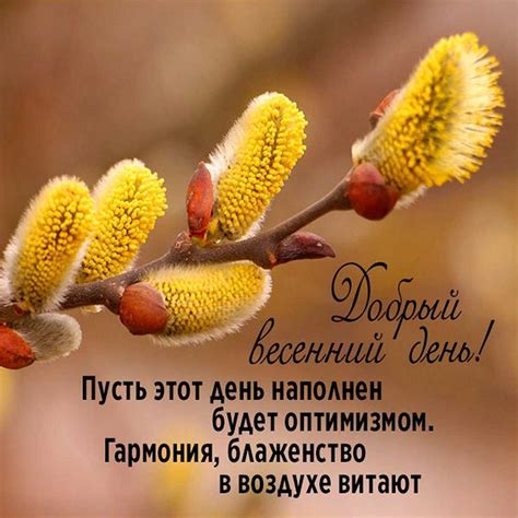 Красивые фотографии весенних праздников
