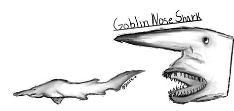 Goblin nose shark ( they can grow up to 12 feet and weigh 420 ponds