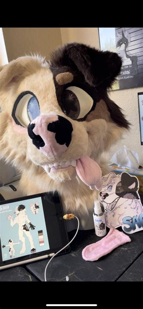 Complex Fursuit Slot Open Discounted R Fursuits