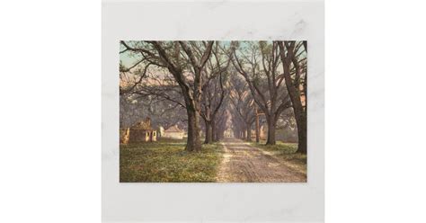 Hermitage Plantation Savannah Georgia Postcard Zazzle