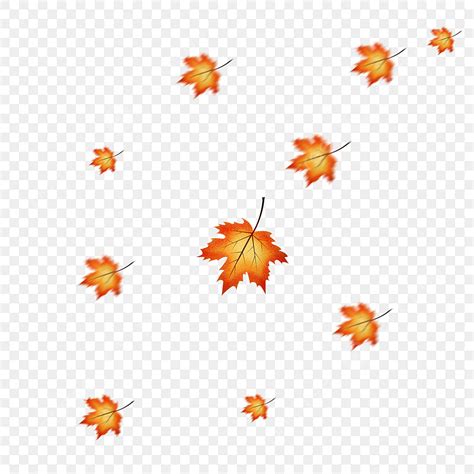 Falling Autumn Leaves Png Picture Simple Autumn Leaves Falling