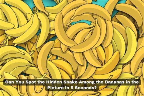 Can You Spot The Hidden Snake Among The Bananas In The Picture In