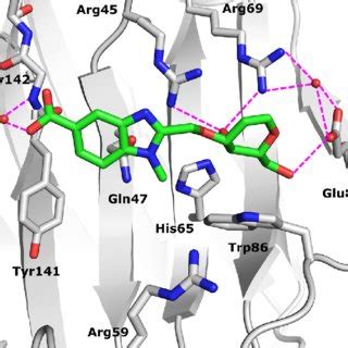 Representative Molecular Dynamics Simulation Snapshot Of B In Green