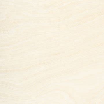 Birch Texture Seamless