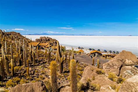 From Uyuni Uyuni Salt Flats With Incahuasi Island Full Day GetYourGuide