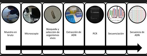 Calidad Ambiental Archivos Eurofins Environment Testing Spain