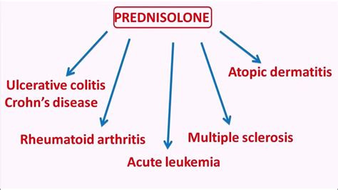 Predniheal Mg At Rs Stripe In Faridabad Id