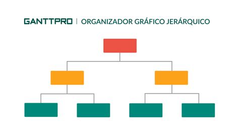 Tipos de organizadores gráficos con ejemplos