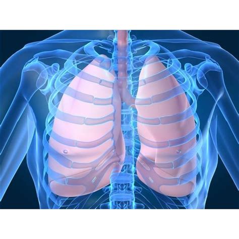 Causes of Lung Nodules | Healthfully