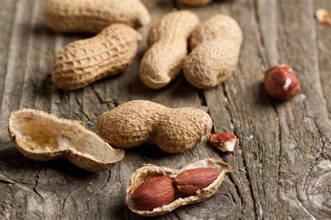 Peanuts And Peanut Butter During Pregnancy Healthy Or Unsafe Baby Facts