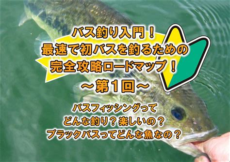 バス釣り入門！バスフィッシングってどんな釣り？ブラックバスってどんな魚？ Blink