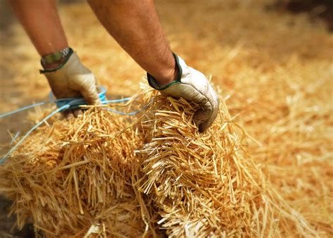 How To Use Straw For Grass Seed Storables