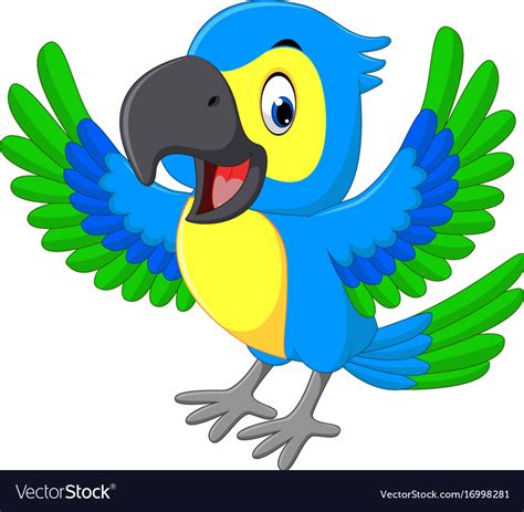 Cute macaw cartoon Royalty Free Vector Image - VectorStock