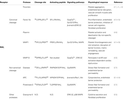 Frontiers Biased Signaling Of Protease Activated Receptors