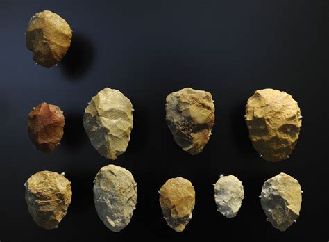 Neanderthals And Modern Humans May Have Shared Ideas For Tools