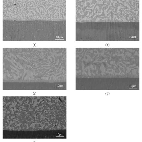 Surface Morphology Of Solder Joints With Different Reflow Cycles A Download Scientific