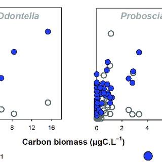 Relationships between carbon biomass values µgC L 1 of diatom